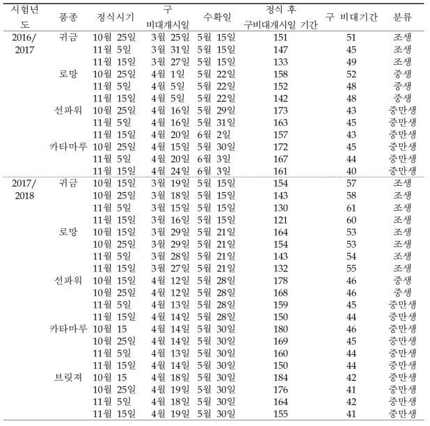 구 비대 특성