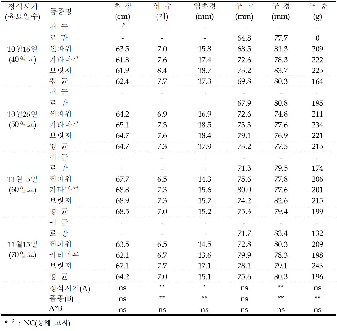 지상부 생육 및 구 특성