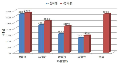 양파 직파 시기별 및 파종립수별 구중 비교