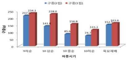 양파 직파 시기별 및 파종립수별 구중