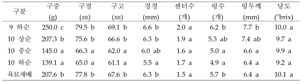 양파 직파 시기별 구 특성