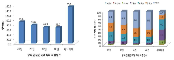 양파 직파시 파종립수별 종류별 생육특성