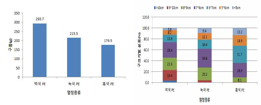 양파 직파시 멀칭종류별 구중 및 구 크기별 분포