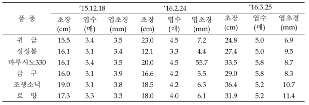 조생종 품종별 월별 생육조사