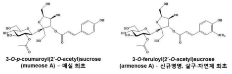 매실 및 살구에서 신규 확인된 acetylsucrose 계열 페놀산 유도체