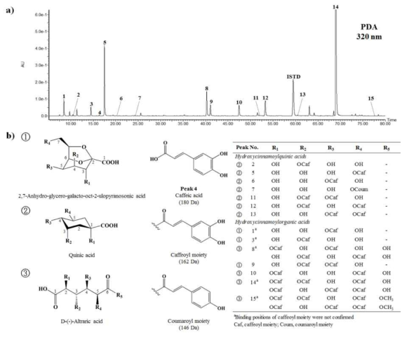 야콘 괴근 함유 페놀산 유도체 15종의 UPLC 크로마토그램(a) 및 기본 화학구조(b)