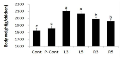 Effects of A. hookeri on growth performance in broilers