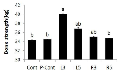 Effects of A. hookeri on tibia strength in broilers