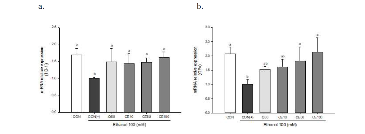 Effect of C. sinensis leaves extract on heme oxygenage-1 (HO-1) and glutathione peroxidase (GPx) mRNA