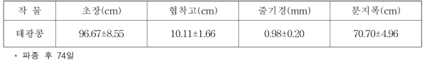 순지르기 현장적응 시험 공시작물 조건