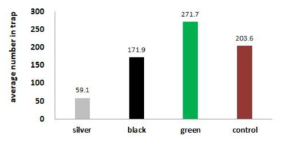Number of sticky trap-captured Thrips in greenhouse with colored mulches