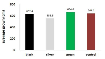 Growth of cucumber (stem) in greenhouse with colored mulches(15 weeks after planting)