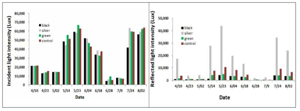 Intensity of incident- and reflected light in greenhouse with colored mulches