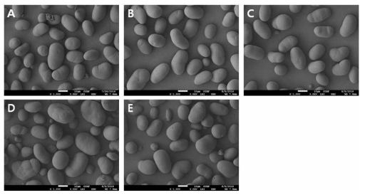 Scanning electron micrograph of mungbean starches. A: Sohyun, B: Dahyun, C: China-M, D:Heungildang-M, E:Jellafood-M