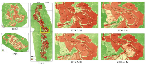 식생지수(NDVI) 분포 지도