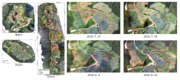 식생지수(NDVI) 아노말리 분포 지도