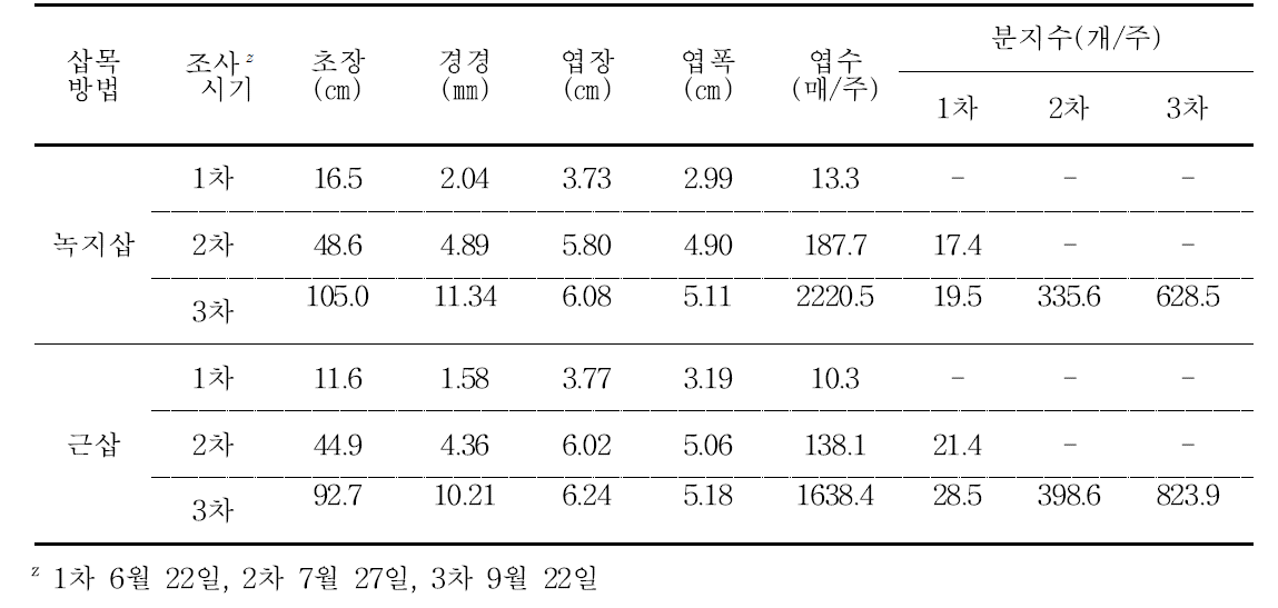 감국 거제감국 삽목방법별 생육상황