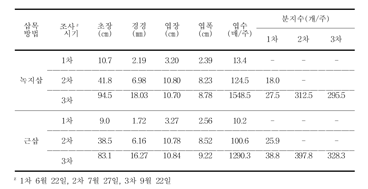 감국 태안감국 삽목방법별 생육상황