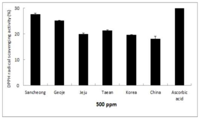 감국을 이용한 DPPH radical 소거 활성 비교