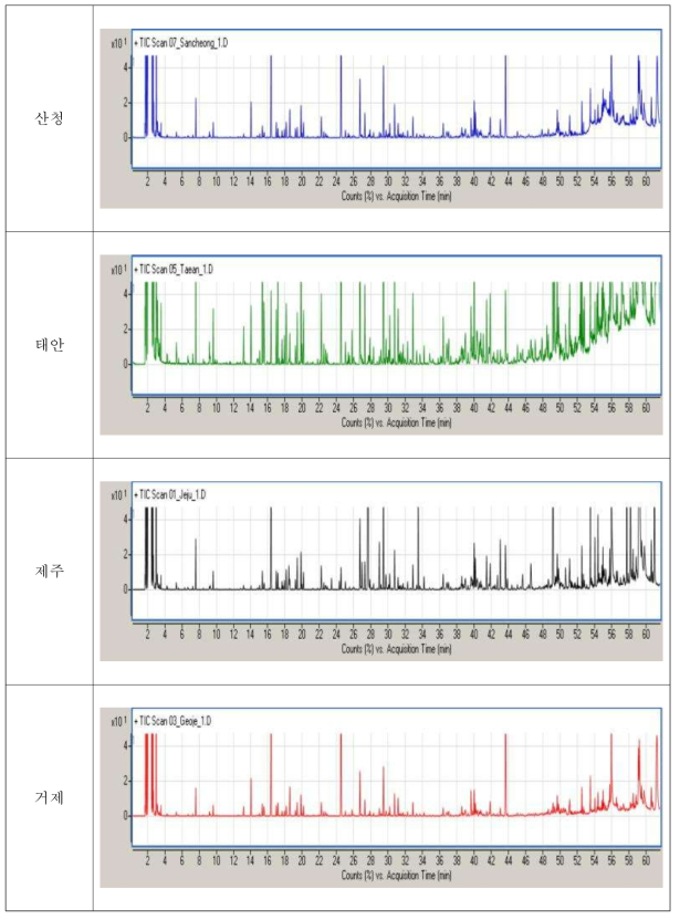 4개품종의 GC-MS chromatography 비교