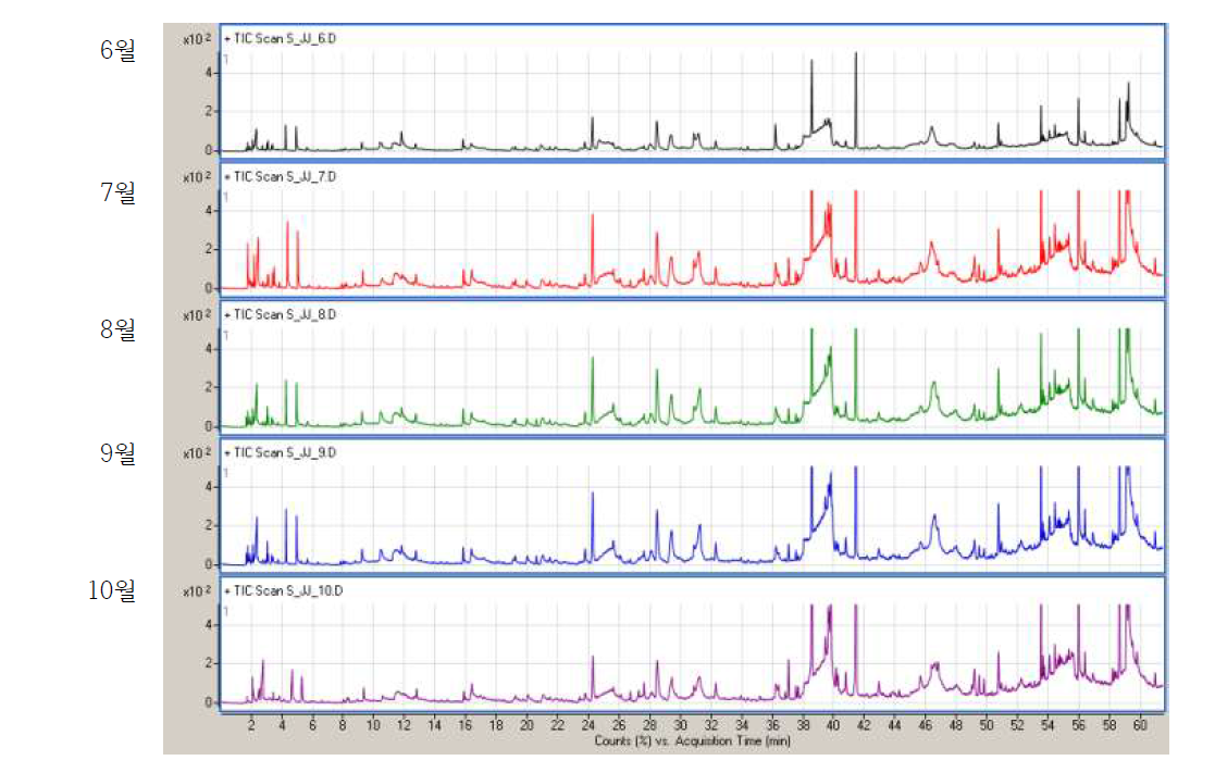 제주 감국 줄기의 시기별(6월-10월) GC0-MS chromatogram