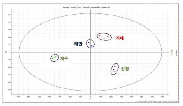 4개 품종의 감국을 이용한 화합물 그룹 설정