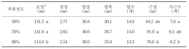 감국 차광정도별 생육상황