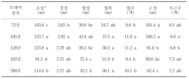 감국 트레이종류별 생육상황