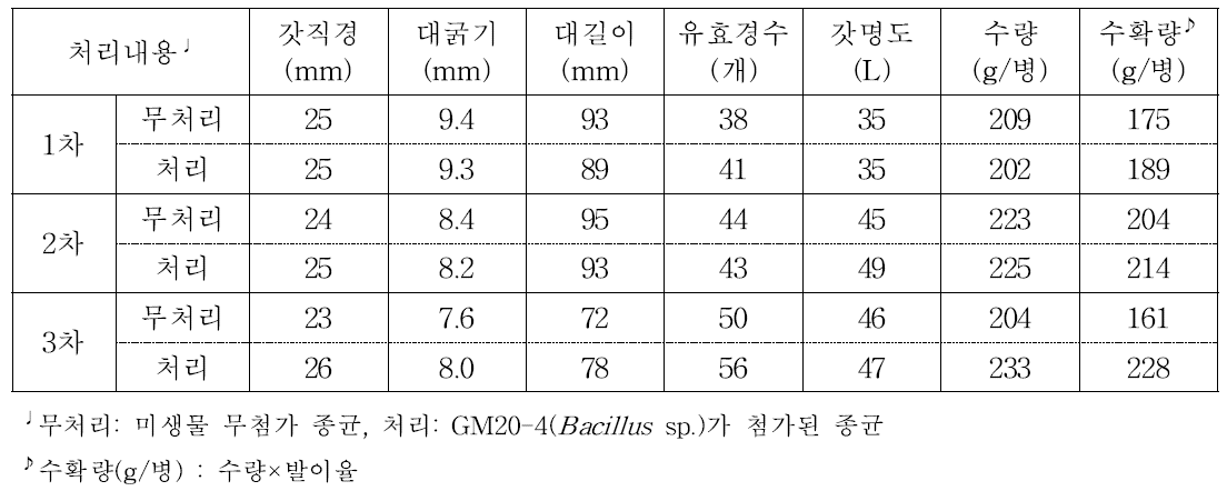 농가A 실증재배 자실체특성 및 수량