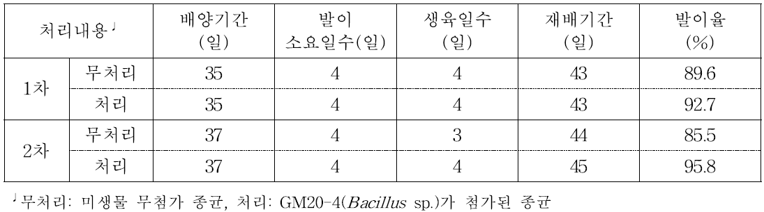 농가B 실증재배 생육특성