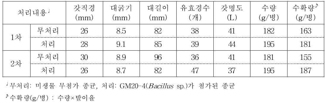 농가B 실증재배 자실체특성 및 수량