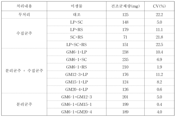 수집균주 및 분리균주 배양여액 혼합 첨가에 따른 느타리 건조균체량