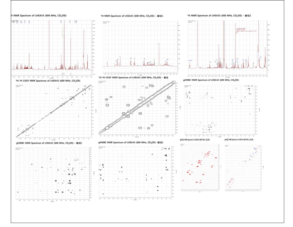 LHEA43의 프로톤, COSY, HSQC, HMBC NMR 크로마토그램