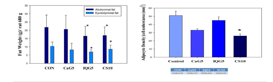 강랑 글라이코사미노글라이칸 한달 투여시 평균 체중 680그램당 체지방량(좌)과 지방세포수
