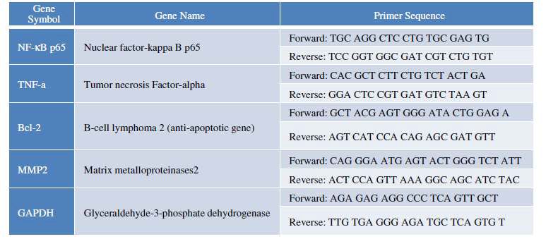 PCR primer sequences for amplification of genes