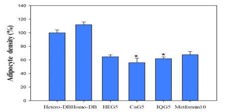 지방세포 비율 Adipocyte density (%) of mast cells in toluidine blue stained liver tissues