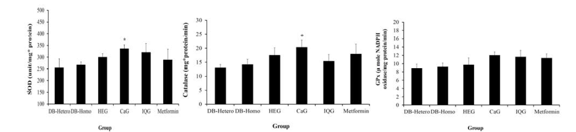 Antioxidant activities of dung beetle glycosaminoglycan in the liver