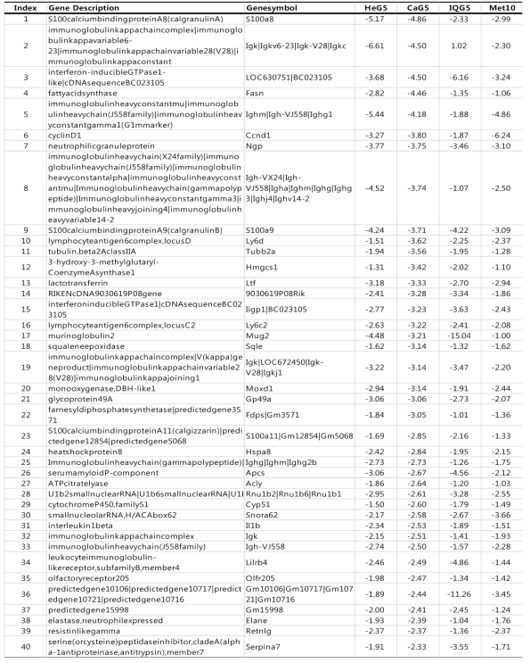 Downregulated genes differentially expressed in the liver tissue of Homo db mice treated with HeG, CaG5, IQG5 or Metformin