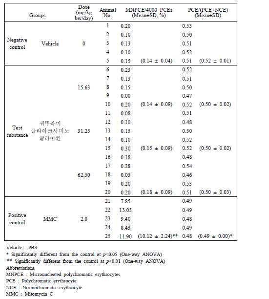 소핵실험 결과