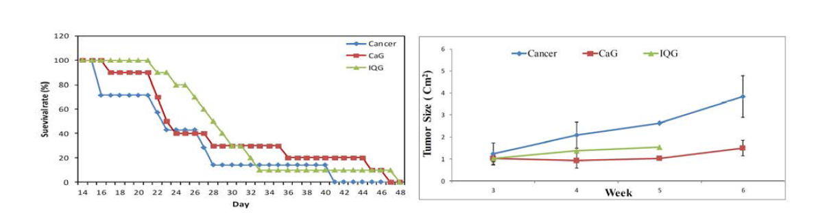 강랑과호박벌여왕벌각각의글라이코사미노글라이칸의생존률(좌) 종양크기(우)