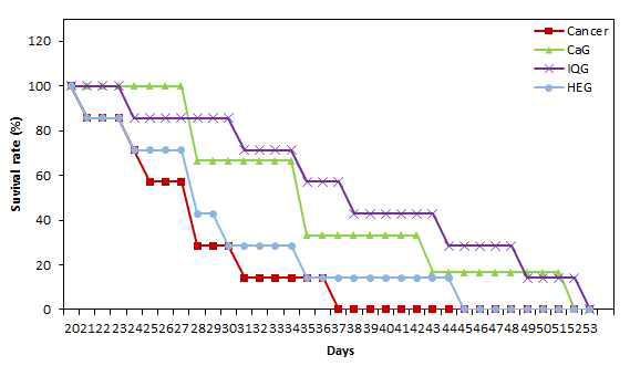 강랑, 호박벌여왕벌, 홍랑자 각각의 글라이코사미노글라이칸 투여 8주간 피부암쥐의 체중 간 생존률