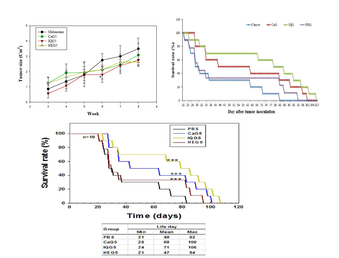 강랑, 호박벌여왕벌, 홍랑자 각각으로부터 분리 정제된 글라이코사미노글라이칸을 투여한 피부암 유발 마우스의 종양 크기와 최종생존율