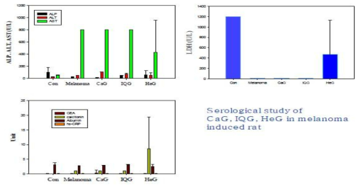 GAG 투여한 피부암쥐의 혈청학적 변화 (ALP, ALT, AST, LDH, Carcinoembryonic antigen (CEA), calcitonin, albumin, C-reactive protein (CRP)