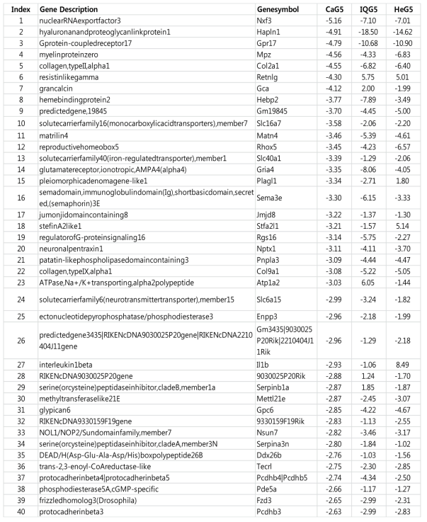 Downregulated genes differentially expressed in the melanoma tissue of C57BL/6N mice treated with HeG, CaG5, IQG5
