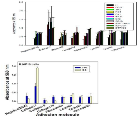 11개 GAG의 adhesion molecule(콜라켄, 파이브로넥틴, 라미닌, 텐나신, 바이브로넥틴) 부착단백질에 대한 접착력(adhesion) assay