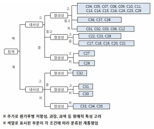 선발한 38개의 오이 계통 목록과 각 형질의 특성을 나타낸 구조도