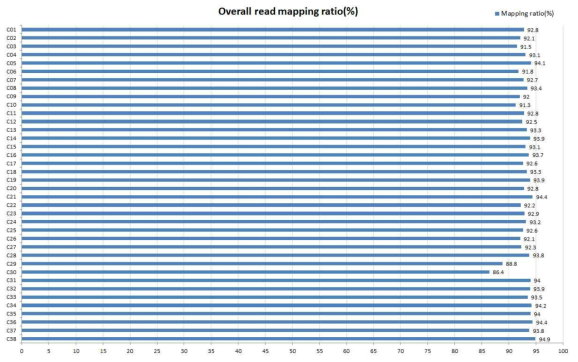 오이 전사체 read mapping 결과