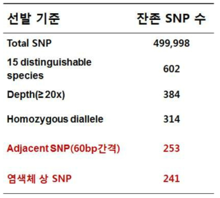 probe 제작 위한 SNP 선발 과정