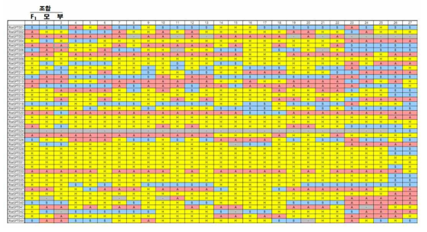 KASP 마커로 F1 조합 및 양친에 대한 유전자형을 분석한 일부의 결과