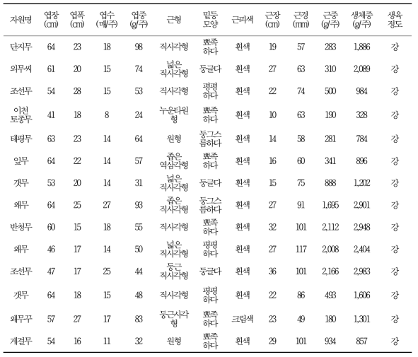 수집 토종무의 재배적 특성(가을재배)